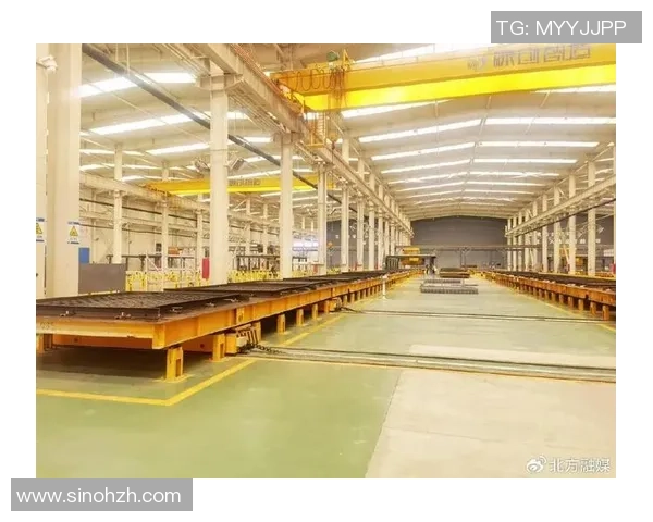 南京排球队运营革新探索：从传统到现代的转型之路与发展策略