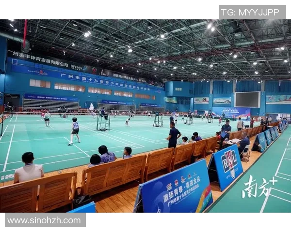 杭州羽毛球队实力解析与未来发展展望聚焦羽毛球运动的崛起与挑战