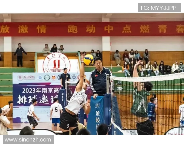南京排球队逆袭之旅揭秘杯赛背后的拼搏与坚持